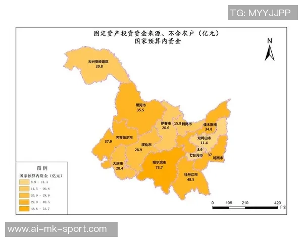 小型足球场建设投资预算详解及资金分配策略分析
